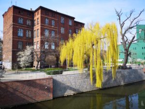 Breslau Stadtführung im Frühling